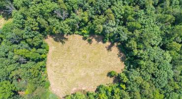 LOT A PENNY LN, CHARLOTTESVILLE, Virginia 22903, ,Land,For sale,LOT A PENNY LN,666582 MLS # 666582