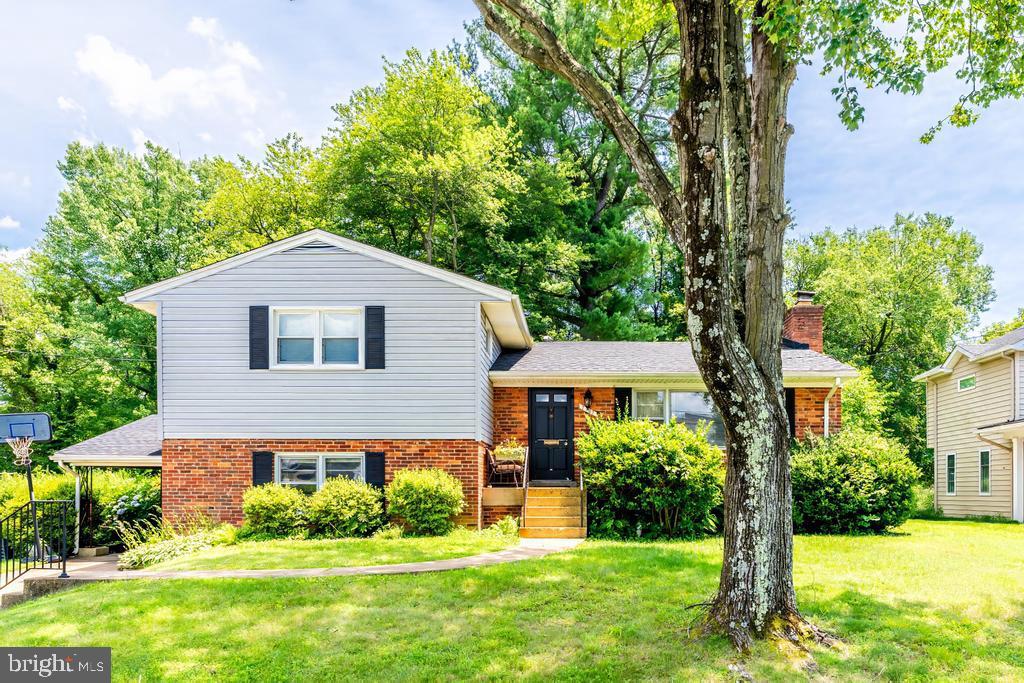 7107 SEA CLIFF RD, MCLEAN, Virginia 22101, 3 Bedrooms Bedrooms, ,3 BathroomsBathrooms,Residential,For sale,7107 SEA CLIFF RD,VAFX2249374 MLS # VAFX2249374