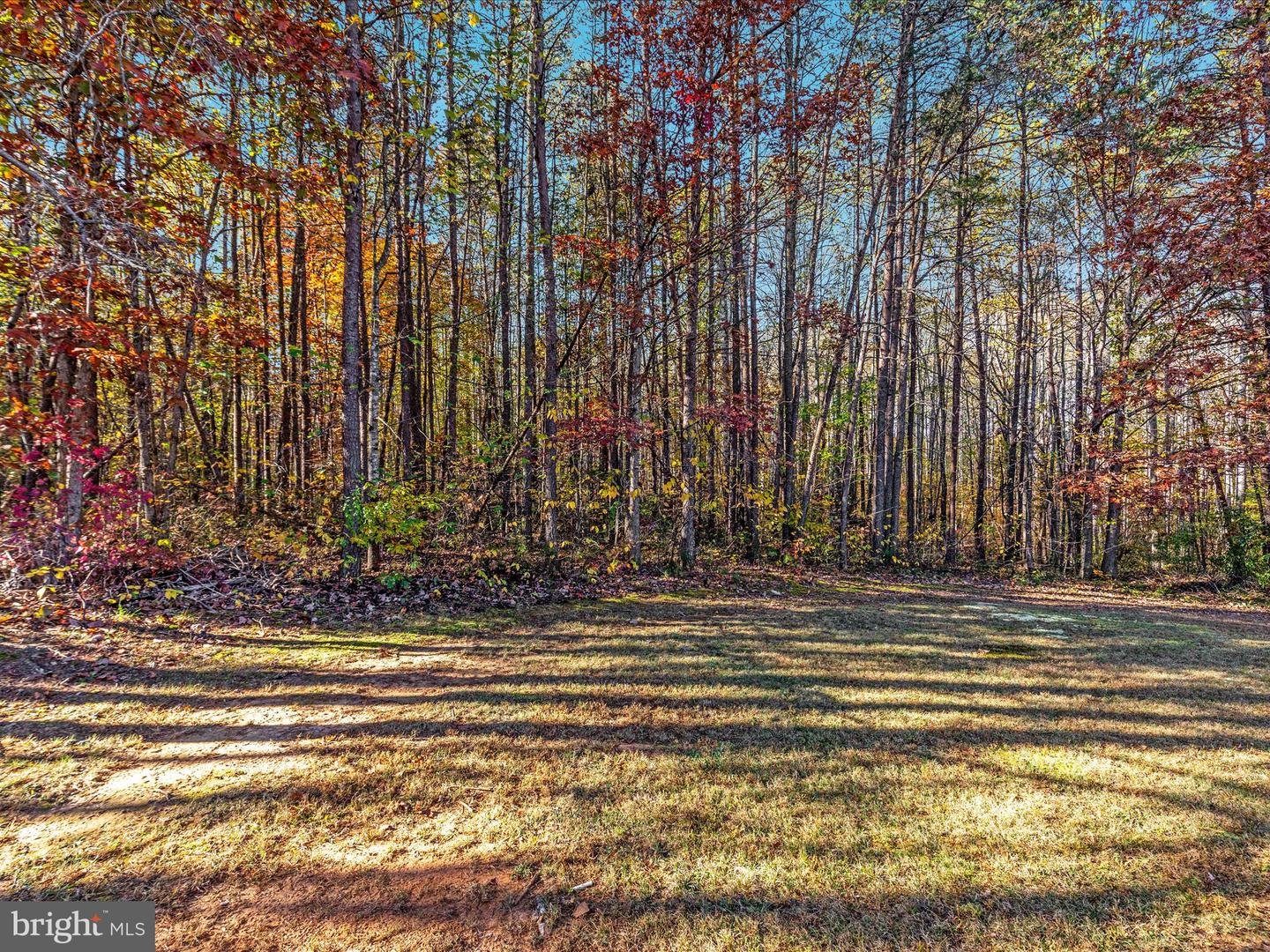 10214 UNIQUE TRL, RIXEYVILLE, Virginia 22737, 5 Bedrooms Bedrooms, ,3 BathroomsBathrooms,Residential,For sale,10214 UNIQUE TRL,VACU2010982 MLS # VACU2010982