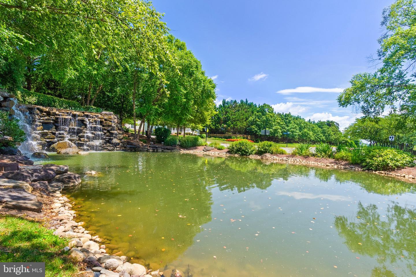 43915 KITTIWAKE DR, LEESBURG, Virginia 20176, 5 Bedrooms Bedrooms, ,4 BathroomsBathrooms,Residential,For sale,43915 KITTIWAKE DR,VALO2101836 MLS # VALO2101836 43915 KITTIWAKE DR, LEESBURG, Virginia 20176, 5 Bedrooms Bedrooms, ,4 BathroomsBathrooms,Residential,For sale,43915 KITTIWAKE DR,VALO2101836 MLS # VALO2101836