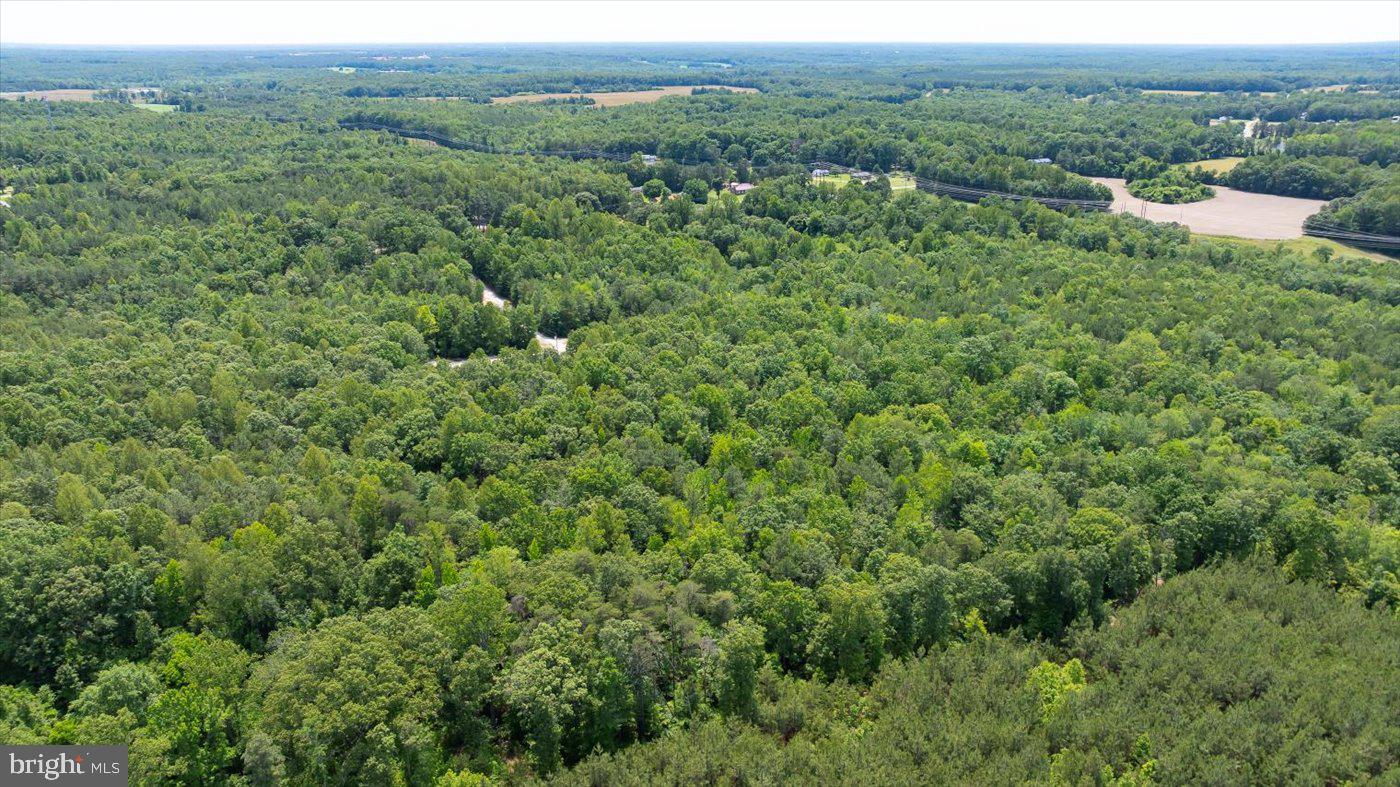 LOTS 2, 2E & 2D GOLANSVILLE RD, RUTHER GLEN, Virginia 22546, ,Land,For sale,LOTS 2, 2E & 2D GOLANSVILLE RD,VACV2008248 MLS # VACV2008248