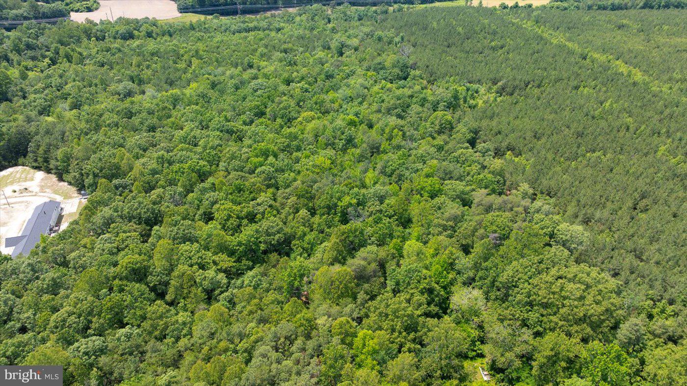 LOTS 2, 2E & 2D GOLANSVILLE RD, RUTHER GLEN, Virginia 22546, ,Land,For sale,LOTS 2, 2E & 2D GOLANSVILLE RD,VACV2008248 MLS # VACV2008248