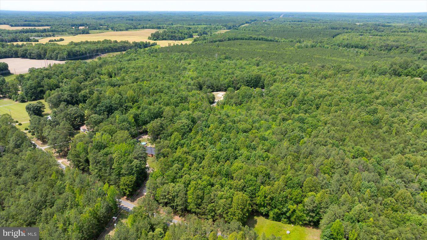 LOTS 2, 2E & 2D GOLANSVILLE RD, RUTHER GLEN, Virginia 22546, ,Land,For sale,LOTS 2, 2E & 2D GOLANSVILLE RD,VACV2008248 MLS # VACV2008248