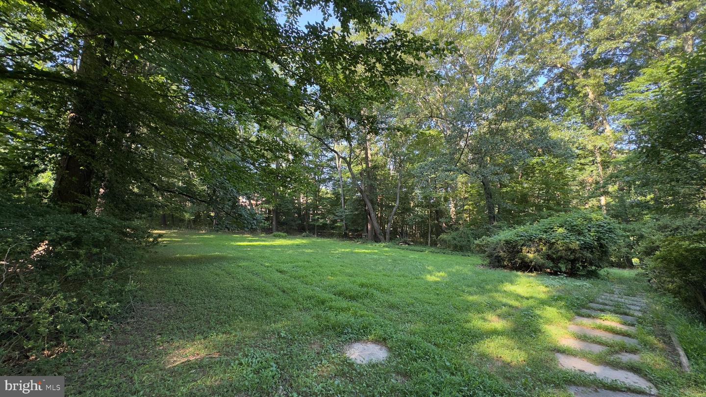 427 SPRINGVALE RD, GREAT FALLS, Virginia 22066, ,Land,For sale,427 SPRINGVALE RD,VAFX2251706 MLS # VAFX2251706