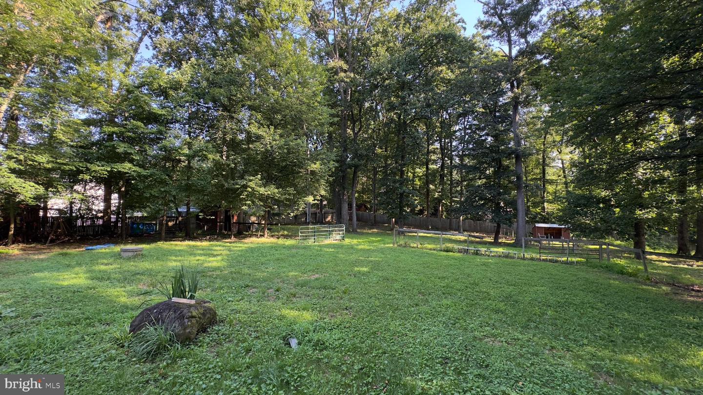 427 SPRINGVALE RD, GREAT FALLS, Virginia 22066, ,Land,For sale,427 SPRINGVALE RD,VAFX2251706 MLS # VAFX2251706