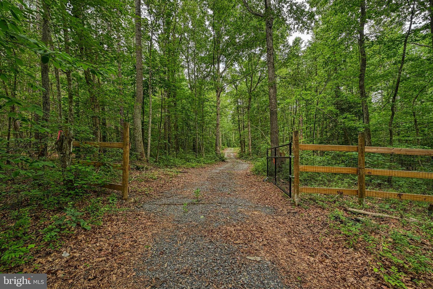 JOHNSON RD, MINERAL, Virginia 23117, ,Land,For sale,JOHNSON RD,VALA2008162 MLS # VALA2008162