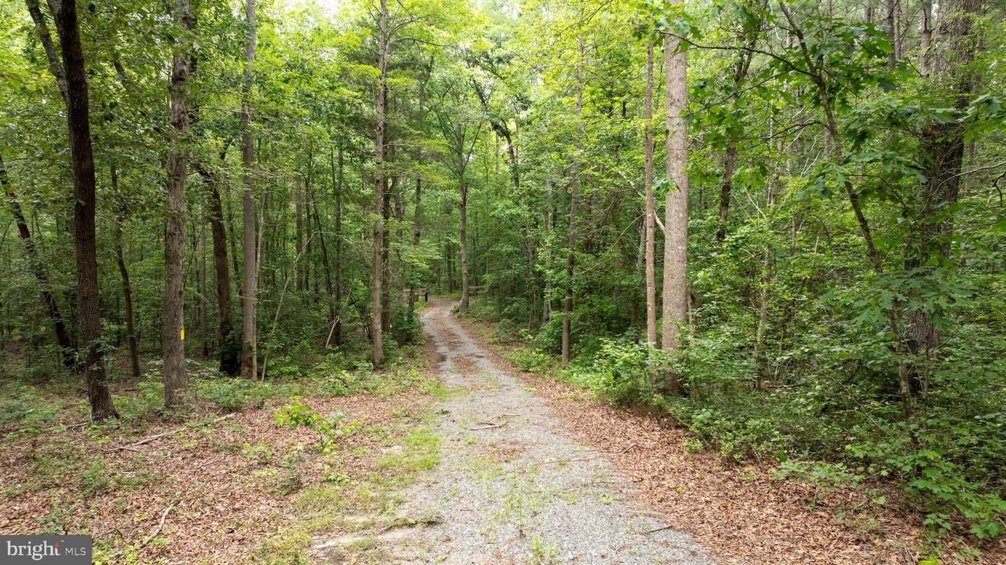 JOHNSON RD, MINERAL, Virginia 23117, ,Land,For sale,JOHNSON RD,VALA2008162 MLS # VALA2008162