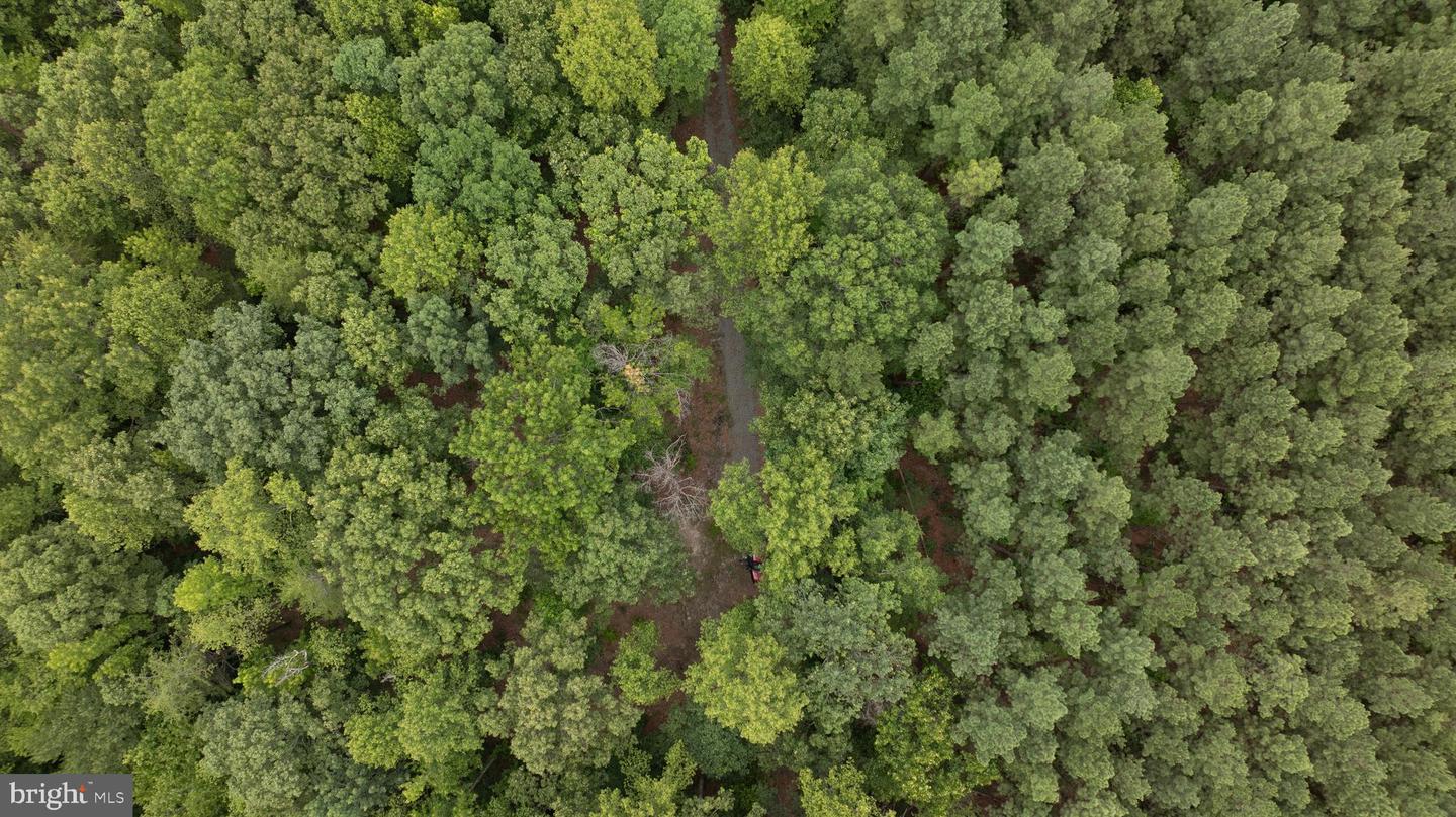 JOHNSON RD, MINERAL, Virginia 23117, ,Land,For sale,JOHNSON RD,VALA2008162 MLS # VALA2008162