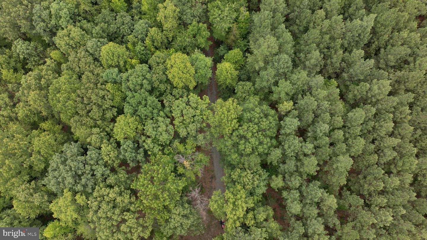 JOHNSON RD, MINERAL, Virginia 23117, ,Land,For sale,JOHNSON RD,VALA2008162 MLS # VALA2008162