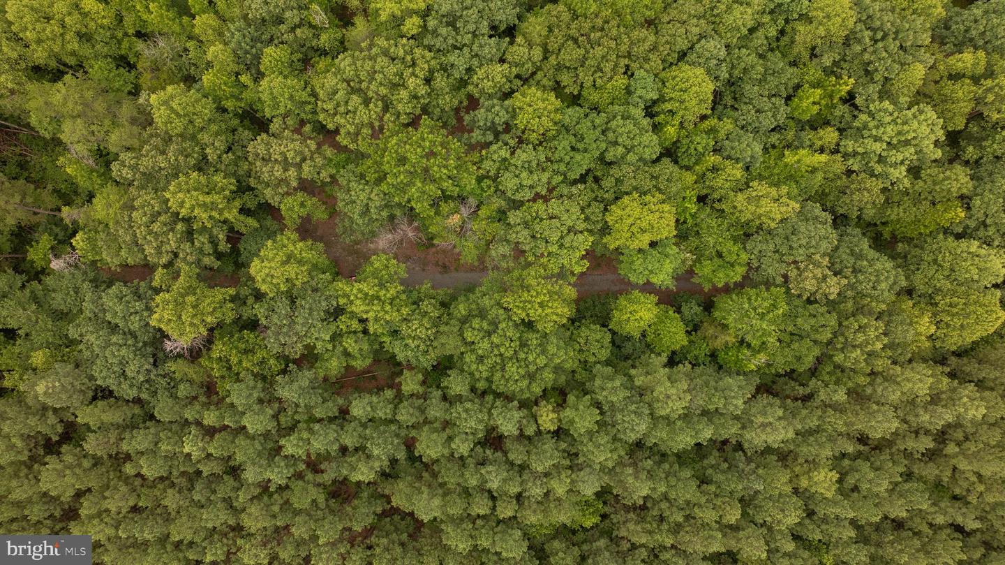 JOHNSON RD, MINERAL, Virginia 23117, ,Land,For sale,JOHNSON RD,VALA2008162 MLS # VALA2008162