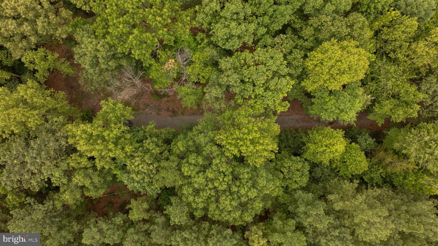 JOHNSON RD, MINERAL, Virginia 23117, ,Land,For sale,JOHNSON RD,VALA2008162 MLS # VALA2008162