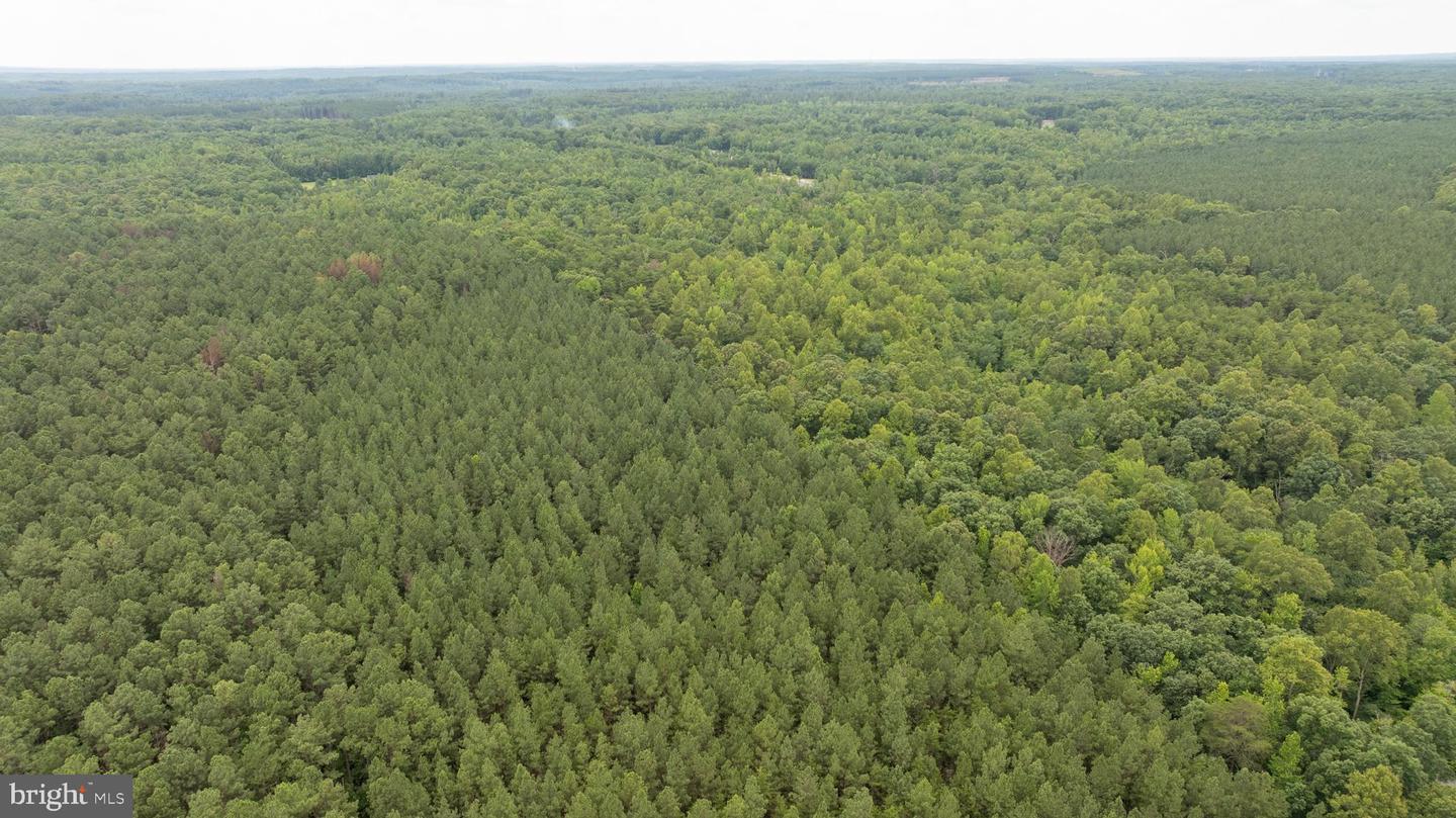 JOHNSON RD, MINERAL, Virginia 23117, ,Land,For sale,JOHNSON RD,VALA2008162 MLS # VALA2008162