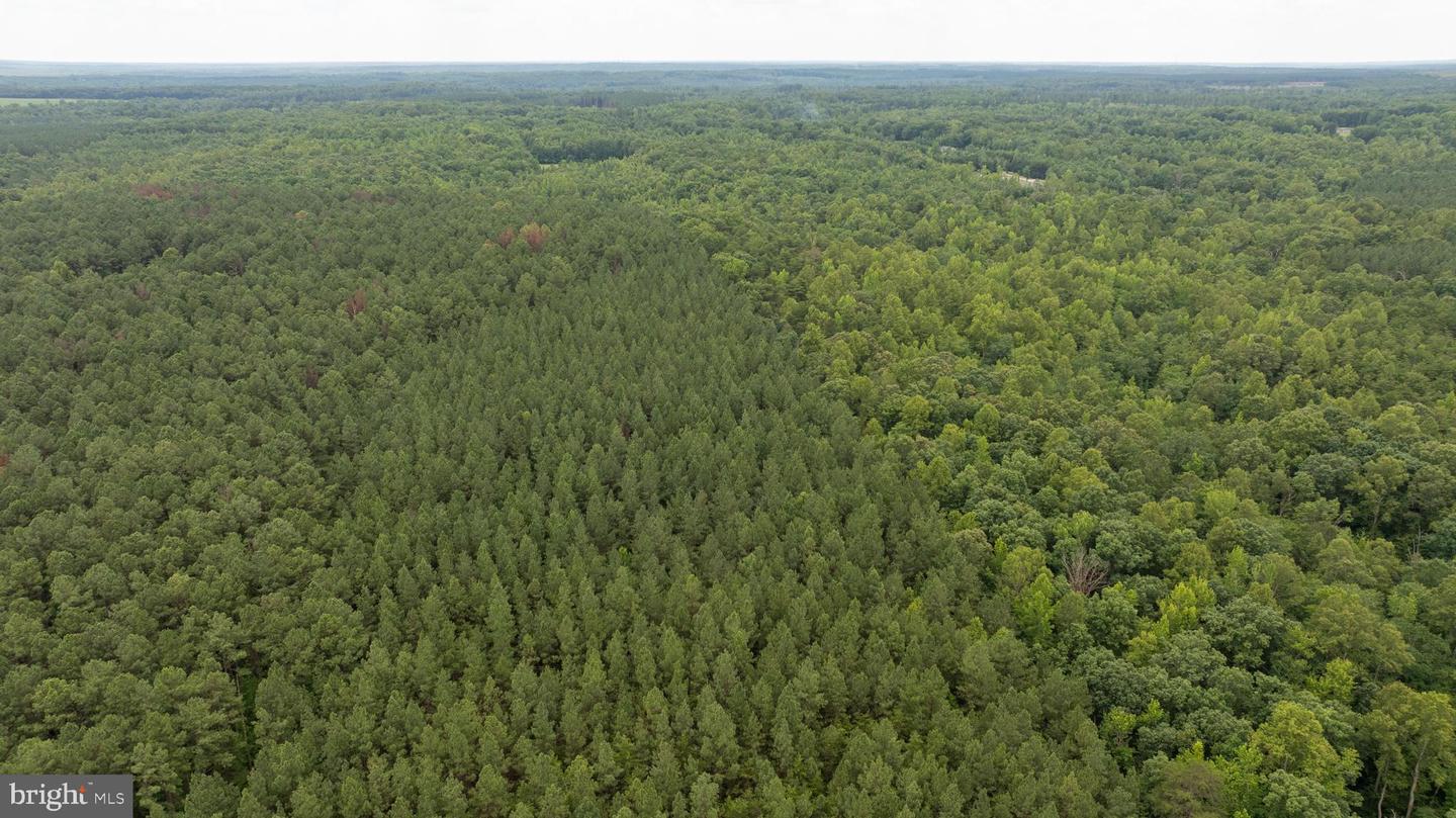 JOHNSON RD, MINERAL, Virginia 23117, ,Land,For sale,JOHNSON RD,VALA2008162 MLS # VALA2008162