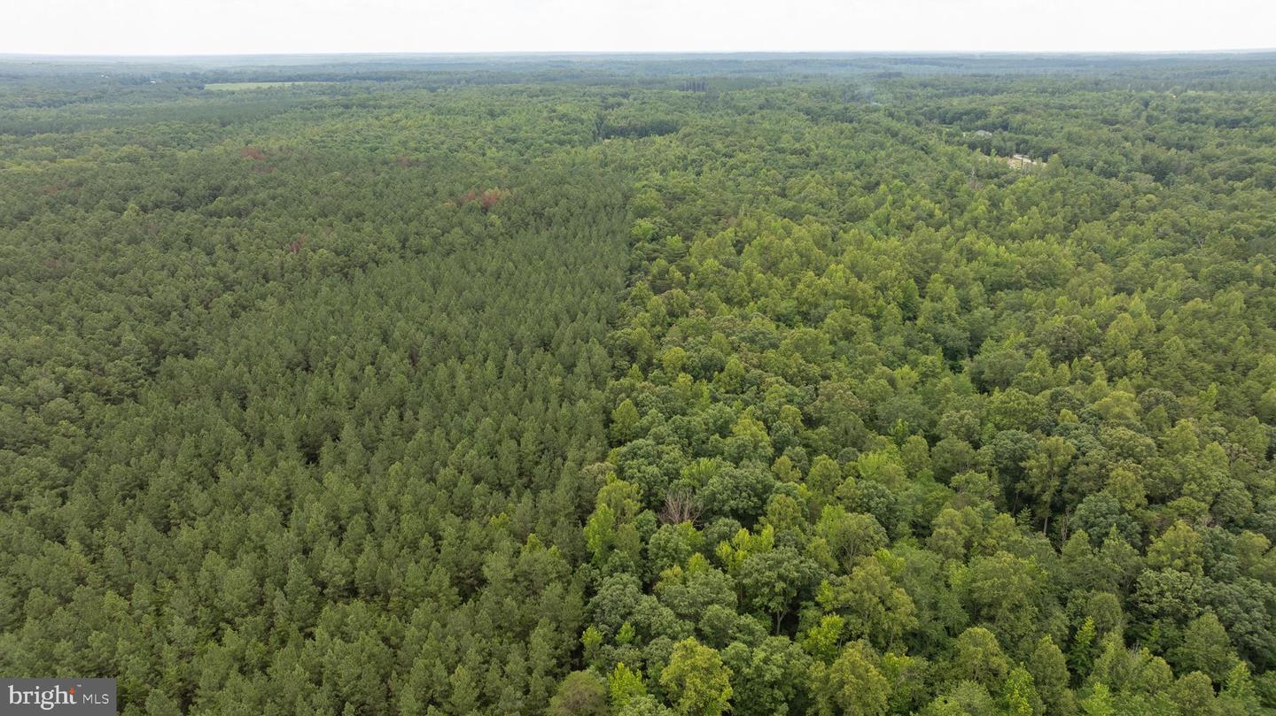 JOHNSON RD, MINERAL, Virginia 23117, ,Land,For sale,JOHNSON RD,VALA2008162 MLS # VALA2008162