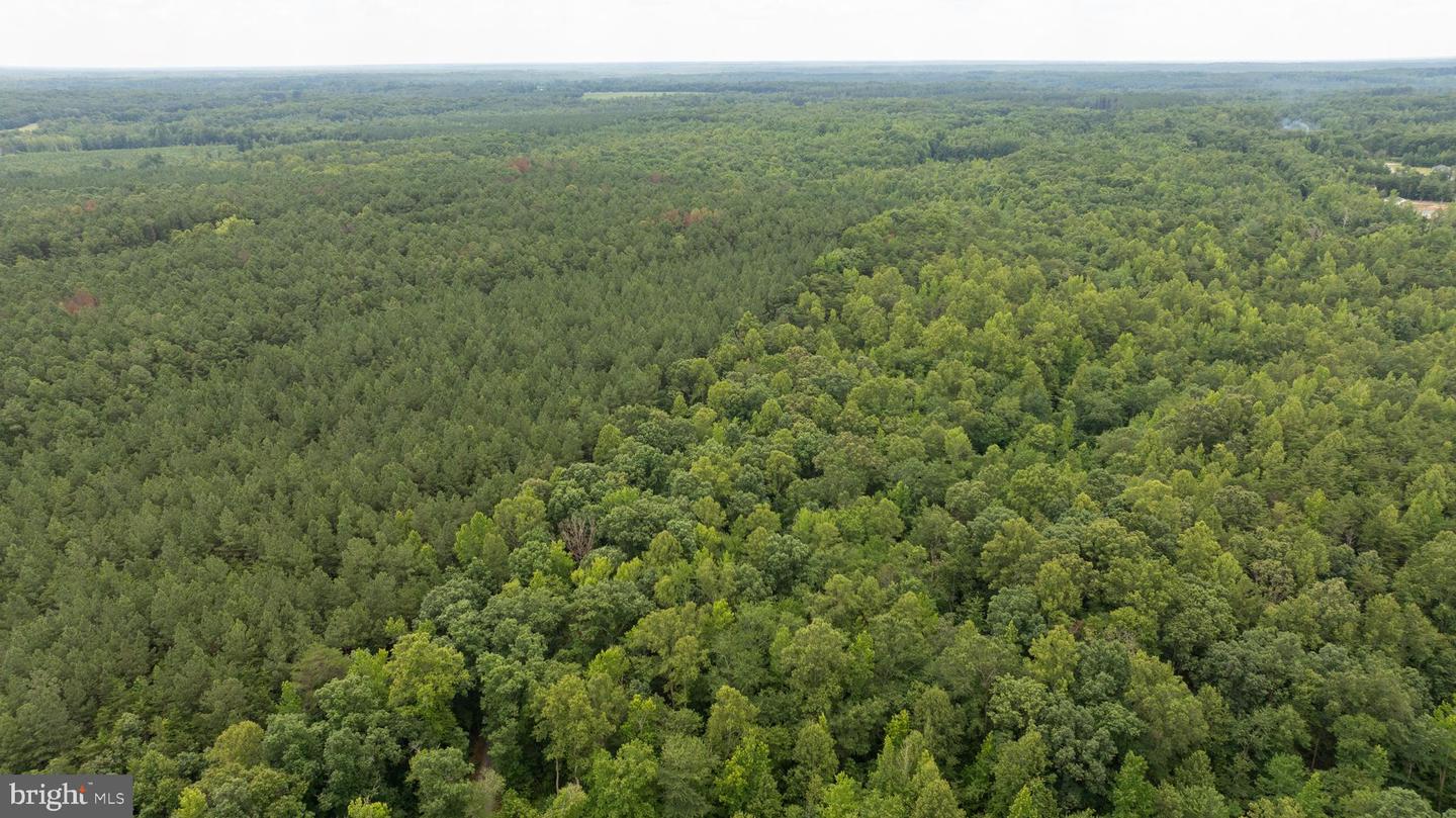 JOHNSON RD, MINERAL, Virginia 23117, ,Land,For sale,JOHNSON RD,VALA2008162 MLS # VALA2008162