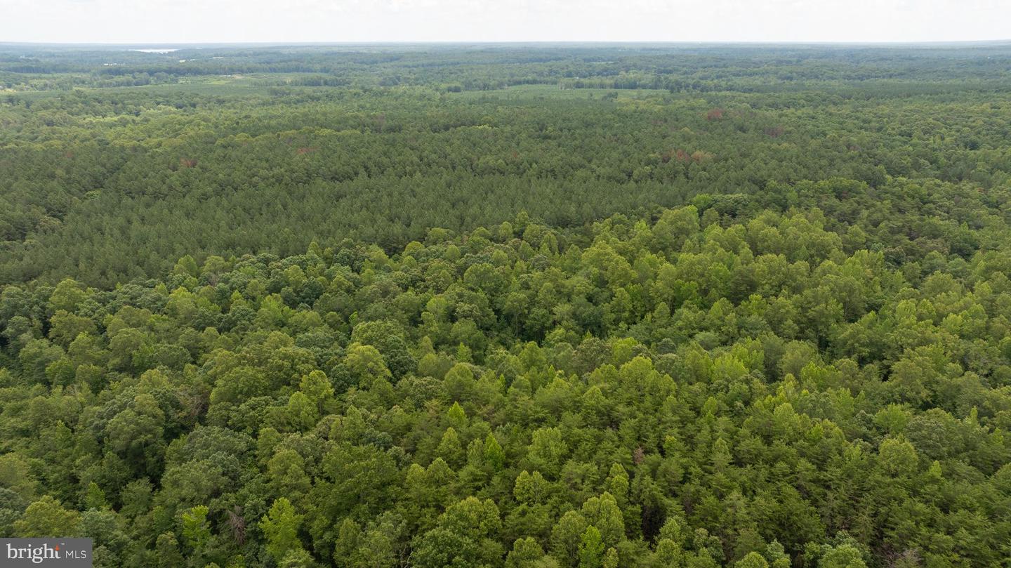 JOHNSON RD, MINERAL, Virginia 23117, ,Land,For sale,JOHNSON RD,VALA2008162 MLS # VALA2008162