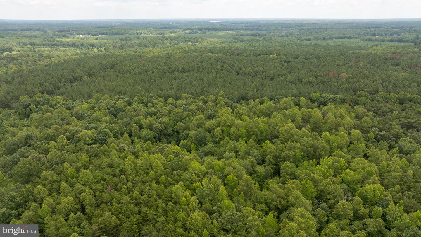 JOHNSON RD, MINERAL, Virginia 23117, ,Land,For sale,JOHNSON RD,VALA2008162 MLS # VALA2008162