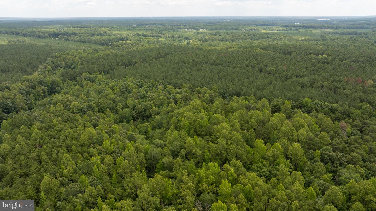 JOHNSON RD, MINERAL, Virginia 23117, ,Land,For sale,JOHNSON RD,VALA2008162 MLS # VALA2008162