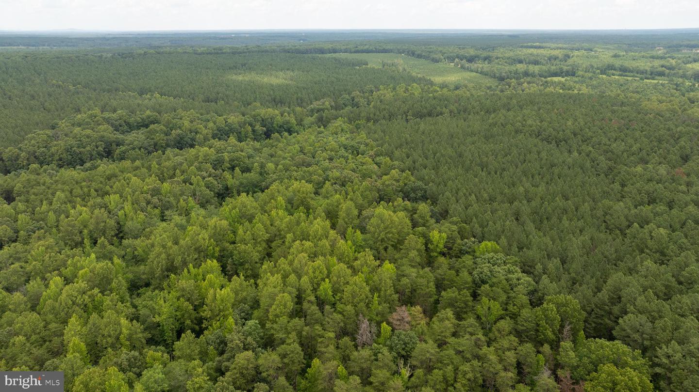 JOHNSON RD, MINERAL, Virginia 23117, ,Land,For sale,JOHNSON RD,VALA2008162 MLS # VALA2008162