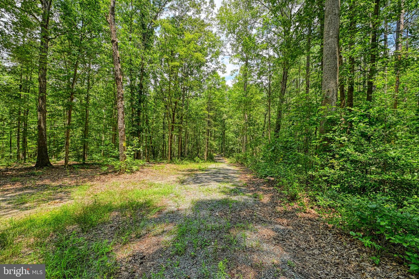 JOHNSON RD, MINERAL, Virginia 23117, ,Land,For sale,JOHNSON RD,VALA2008162 MLS # VALA2008162