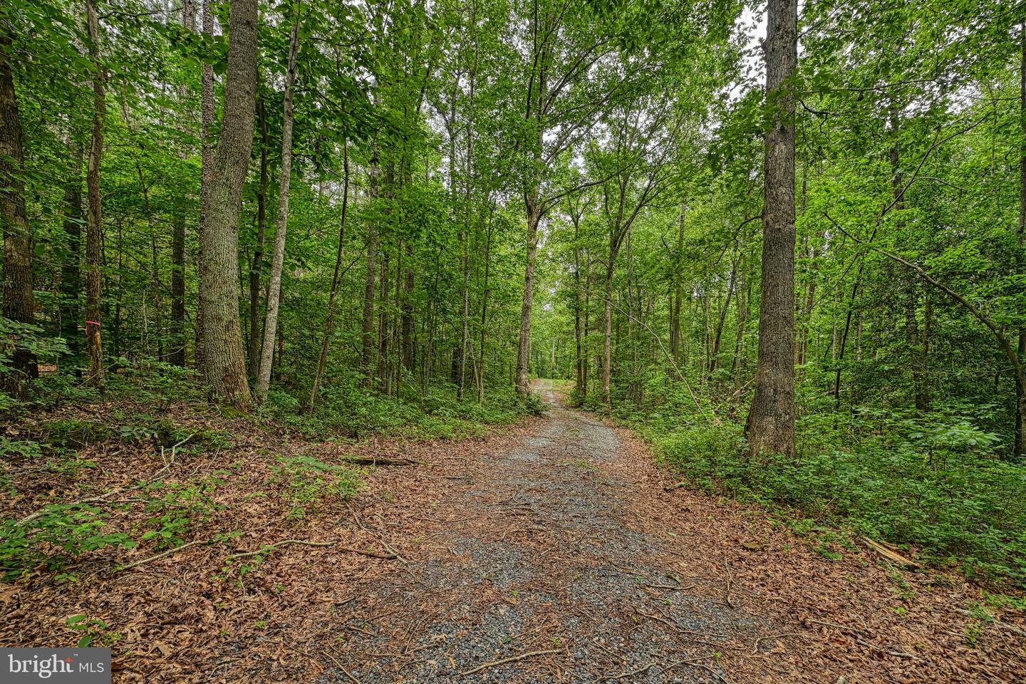 JOHNSON RD, MINERAL, Virginia 23117, ,Land,For sale,JOHNSON RD,VALA2008162 MLS # VALA2008162