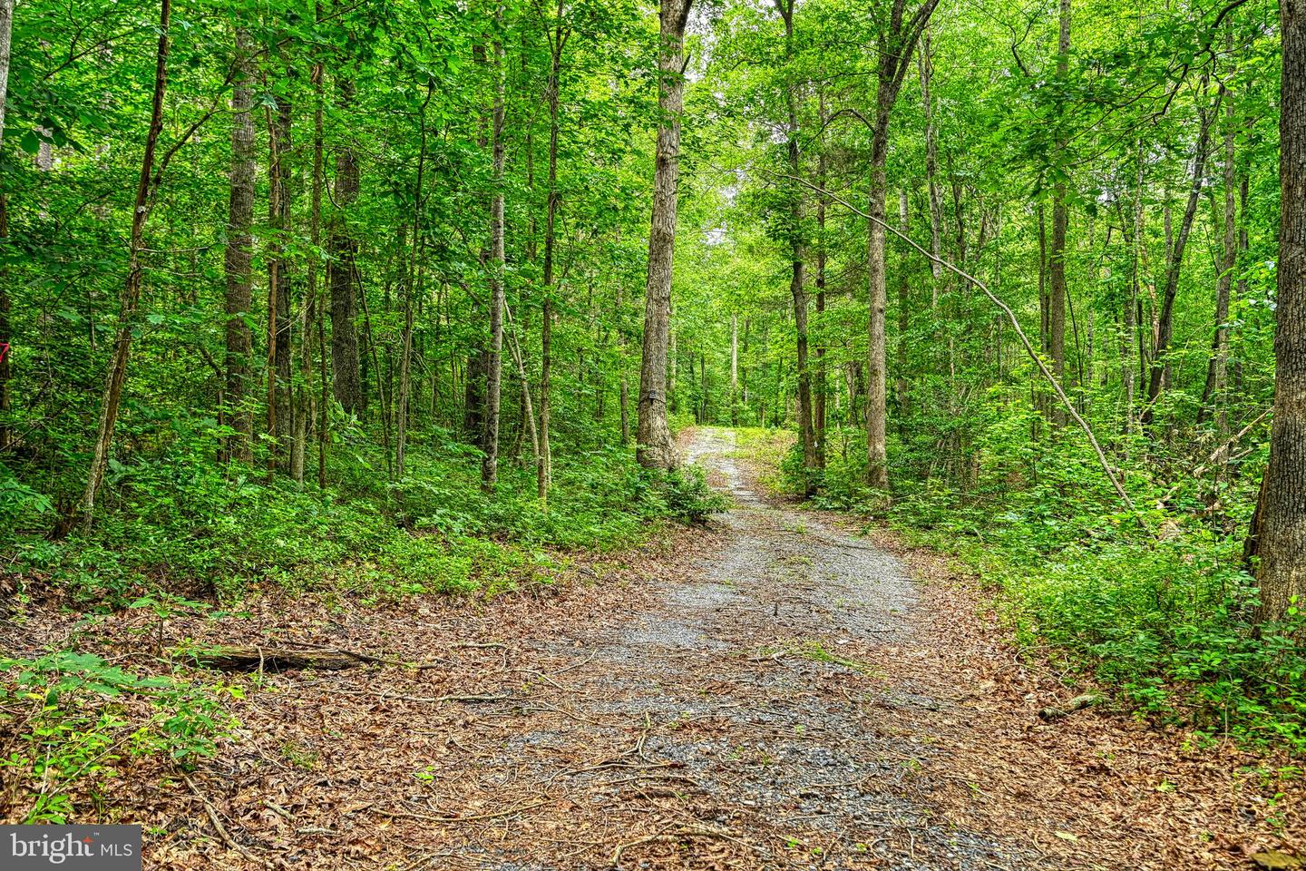 JOHNSON RD, MINERAL, Virginia 23117, ,Land,For sale,JOHNSON RD,VALA2008162 MLS # VALA2008162