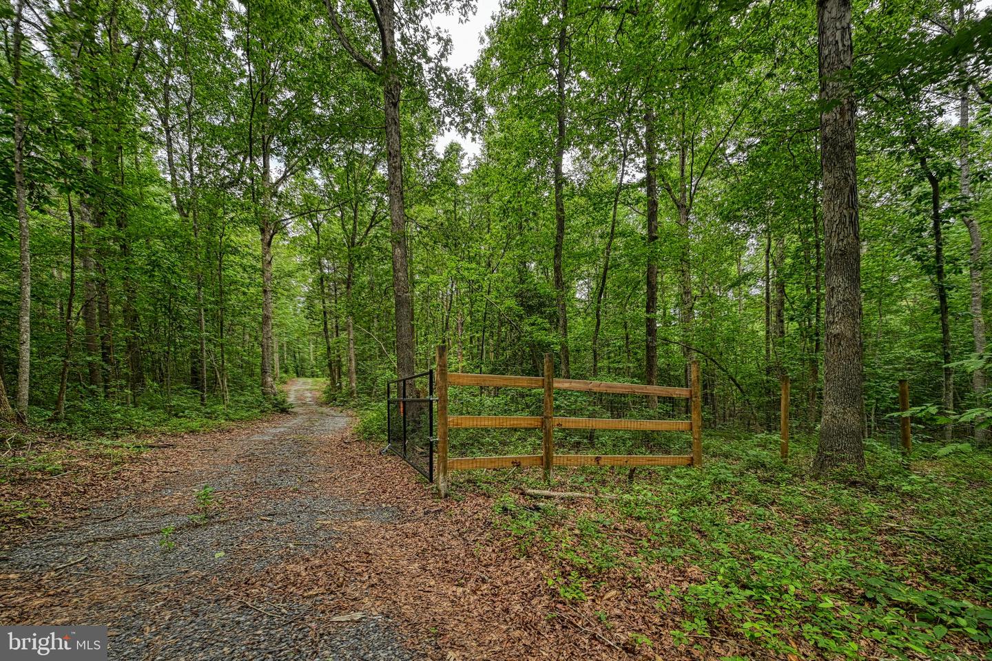 JOHNSON RD, MINERAL, Virginia 23117, ,Land,For sale,JOHNSON RD,VALA2008162 MLS # VALA2008162