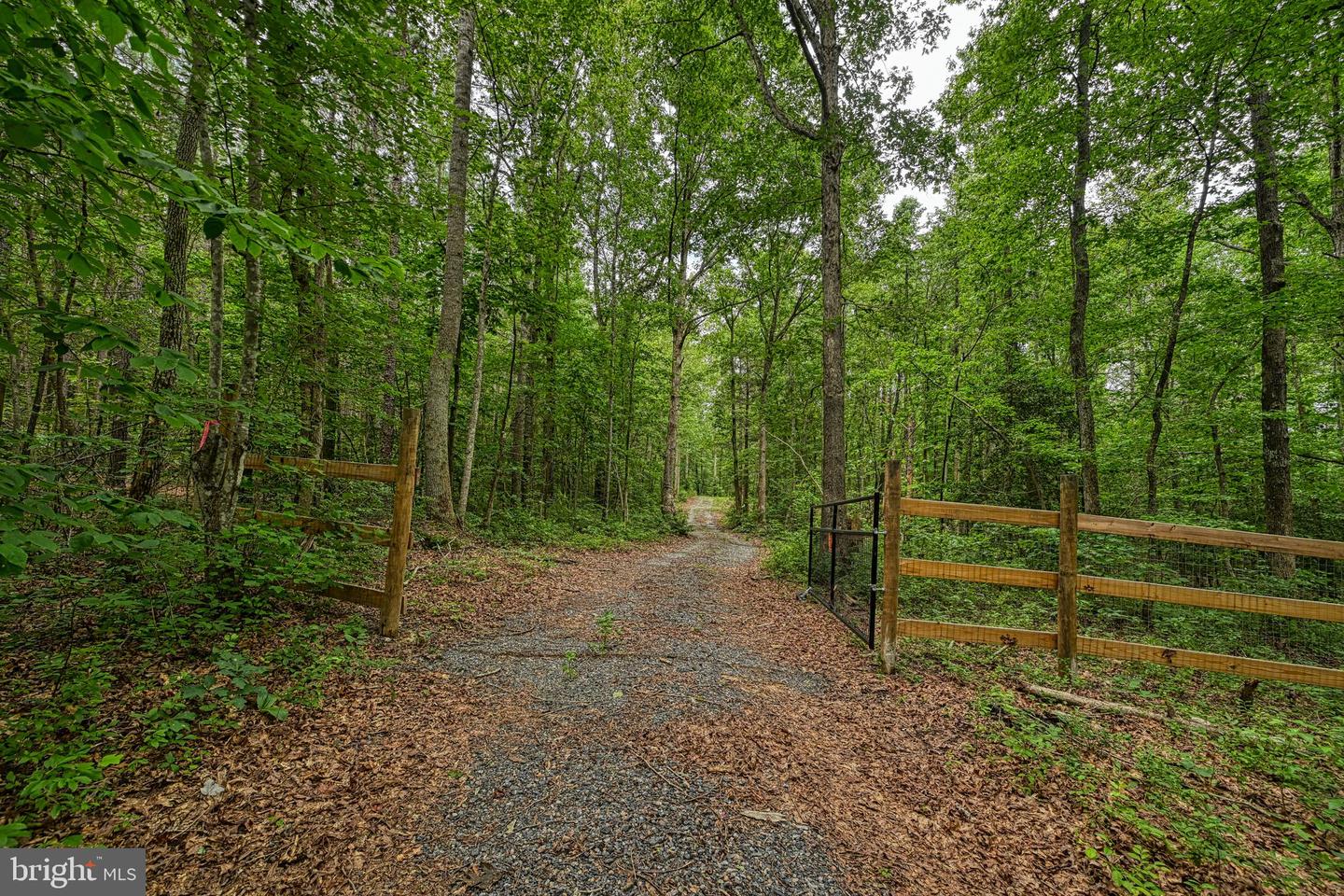 JOHNSON RD, MINERAL, Virginia 23117, ,Land,For sale,JOHNSON RD,VALA2008162 MLS # VALA2008162