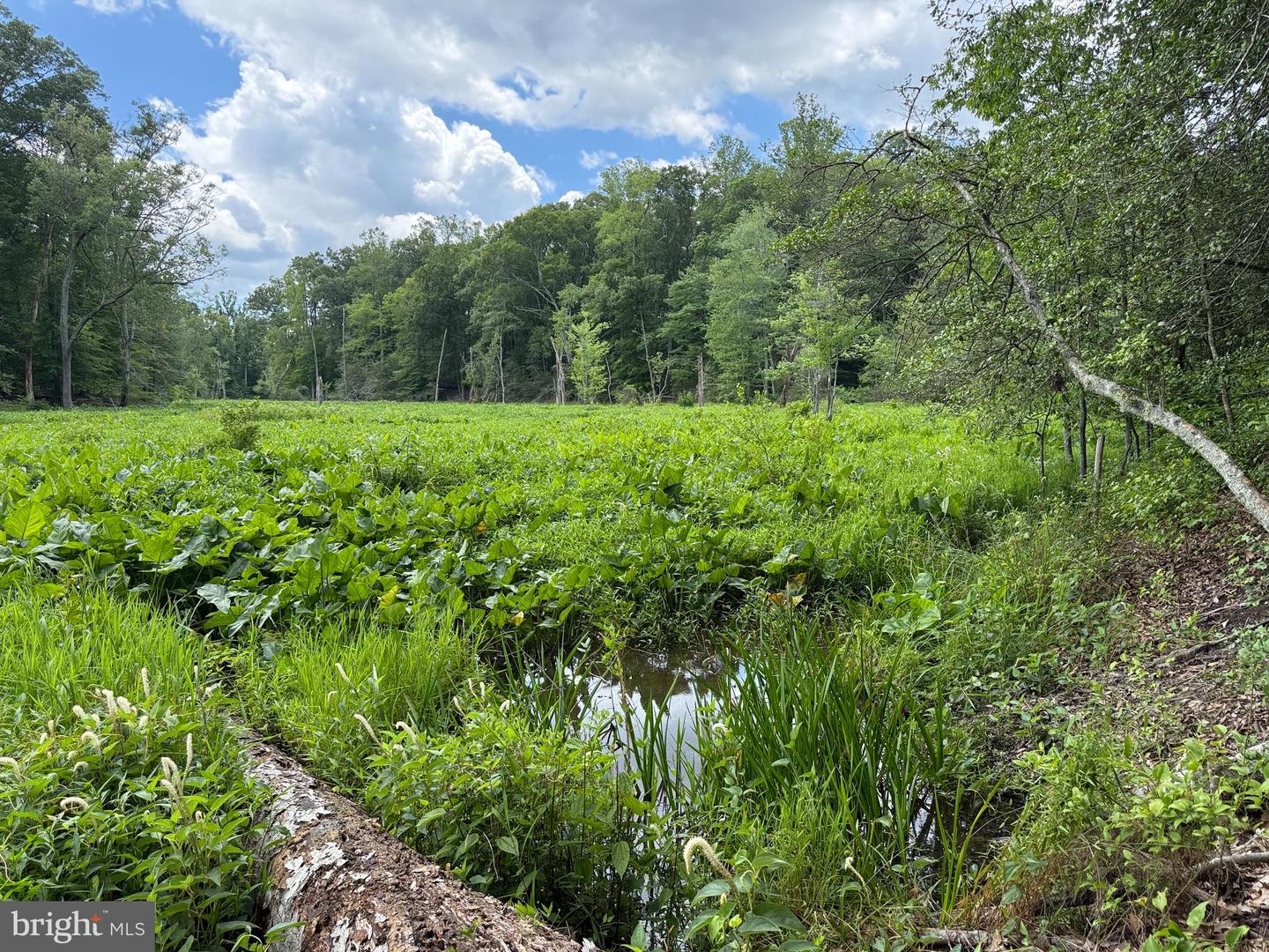 16280 RIDGE RD, KING GEORGE, Virginia 22485, ,Farm,For sale,16280 RIDGE RD,VAKG2006700 MLS # VAKG2006700