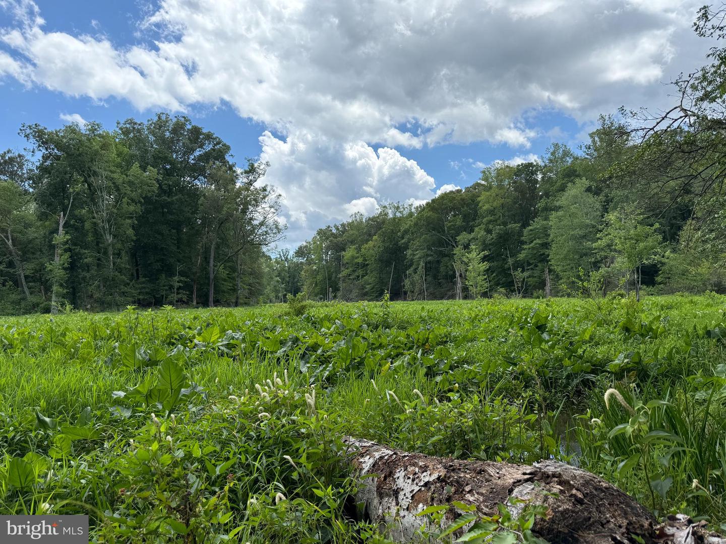 16280 RIDGE RD, KING GEORGE, Virginia 22485, ,Farm,For sale,16280 RIDGE RD,VAKG2006700 MLS # VAKG2006700