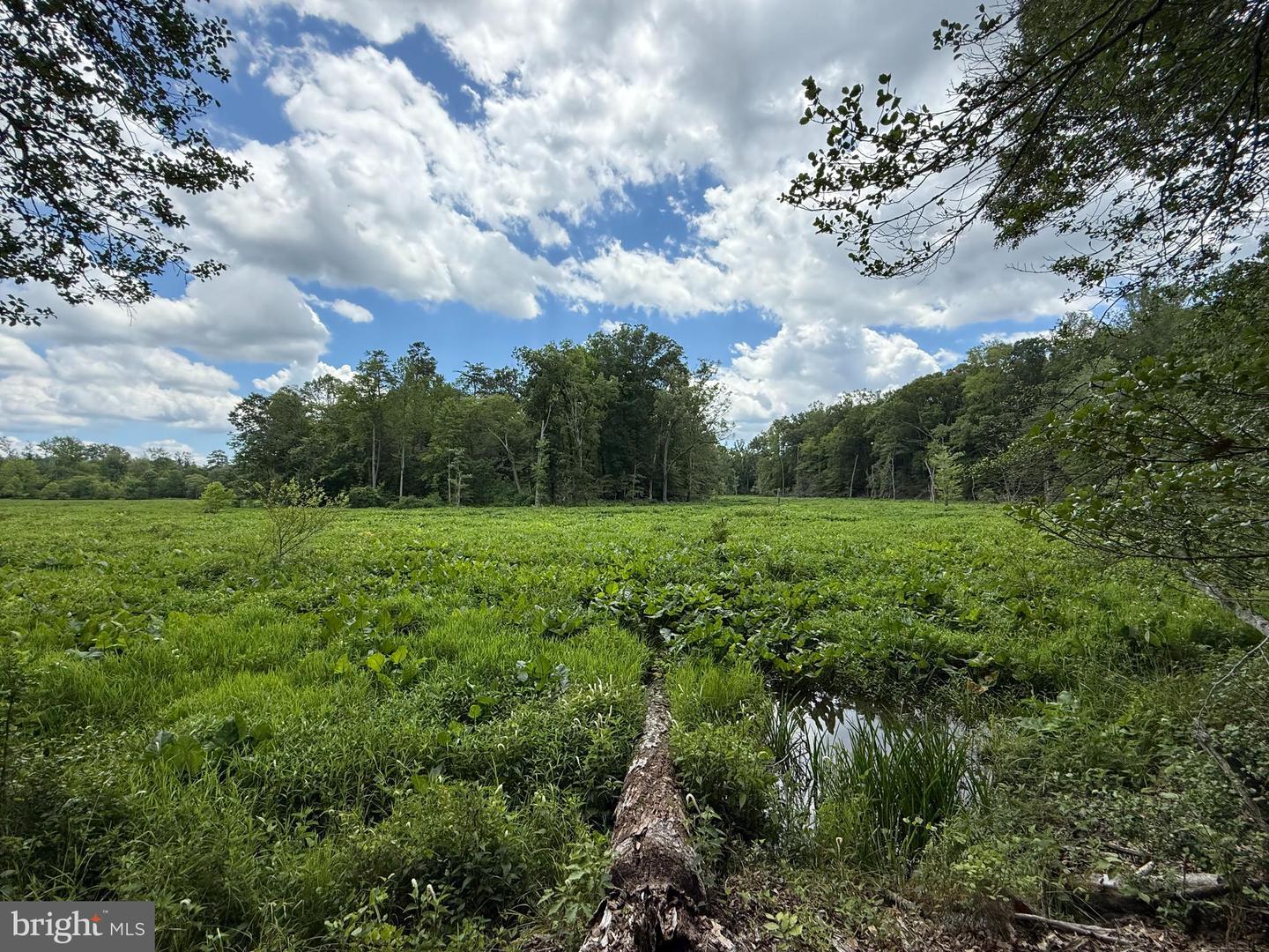 16280 RIDGE RD, KING GEORGE, Virginia 22485, ,Farm,For sale,16280 RIDGE RD,VAKG2006700 MLS # VAKG2006700