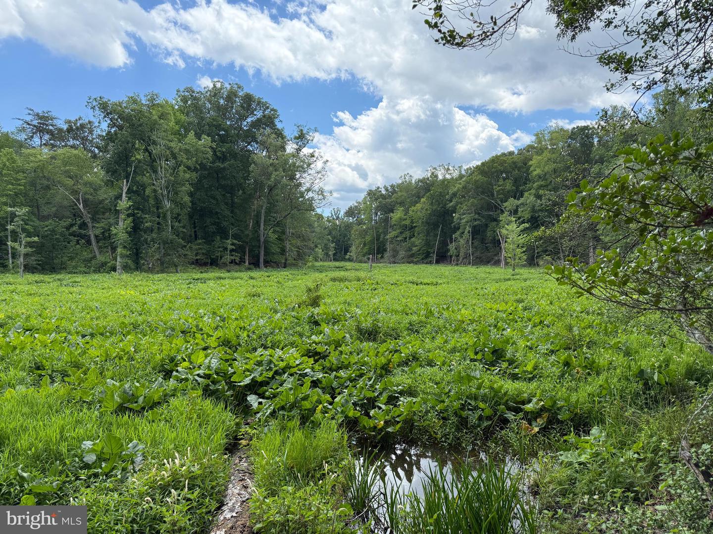 16280 RIDGE RD, KING GEORGE, Virginia 22485, ,Farm,For sale,16280 RIDGE RD,VAKG2006700 MLS # VAKG2006700
