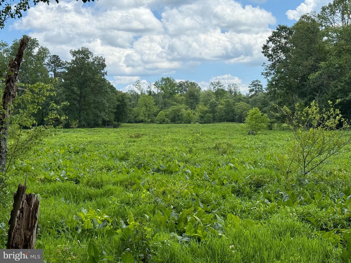 16280 RIDGE RD, KING GEORGE, Virginia 22485, ,Farm,For sale,16280 RIDGE RD,VAKG2006700 MLS # VAKG2006700