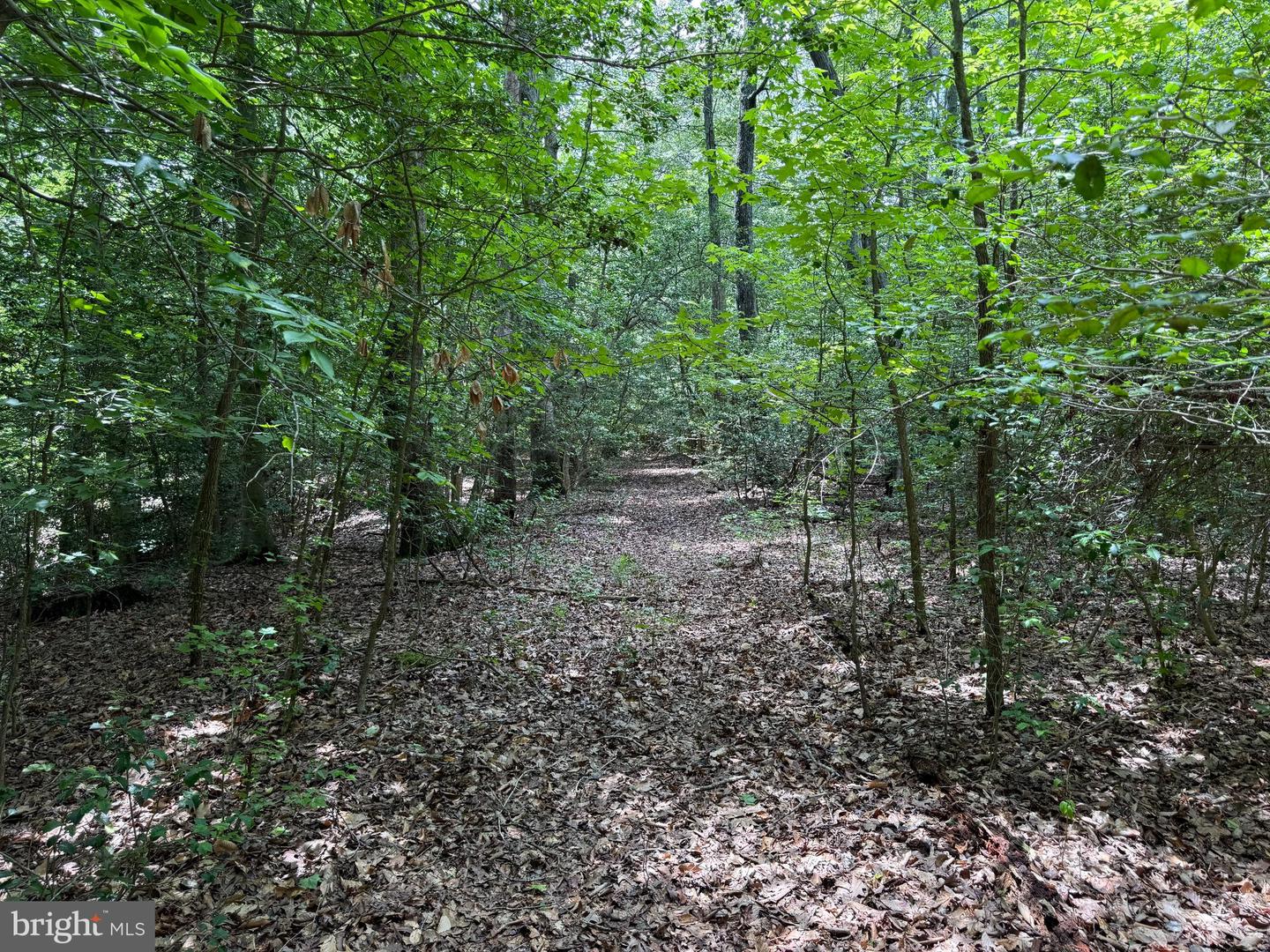 16280 RIDGE RD, KING GEORGE, Virginia 22485, ,Farm,For sale,16280 RIDGE RD,VAKG2006700 MLS # VAKG2006700