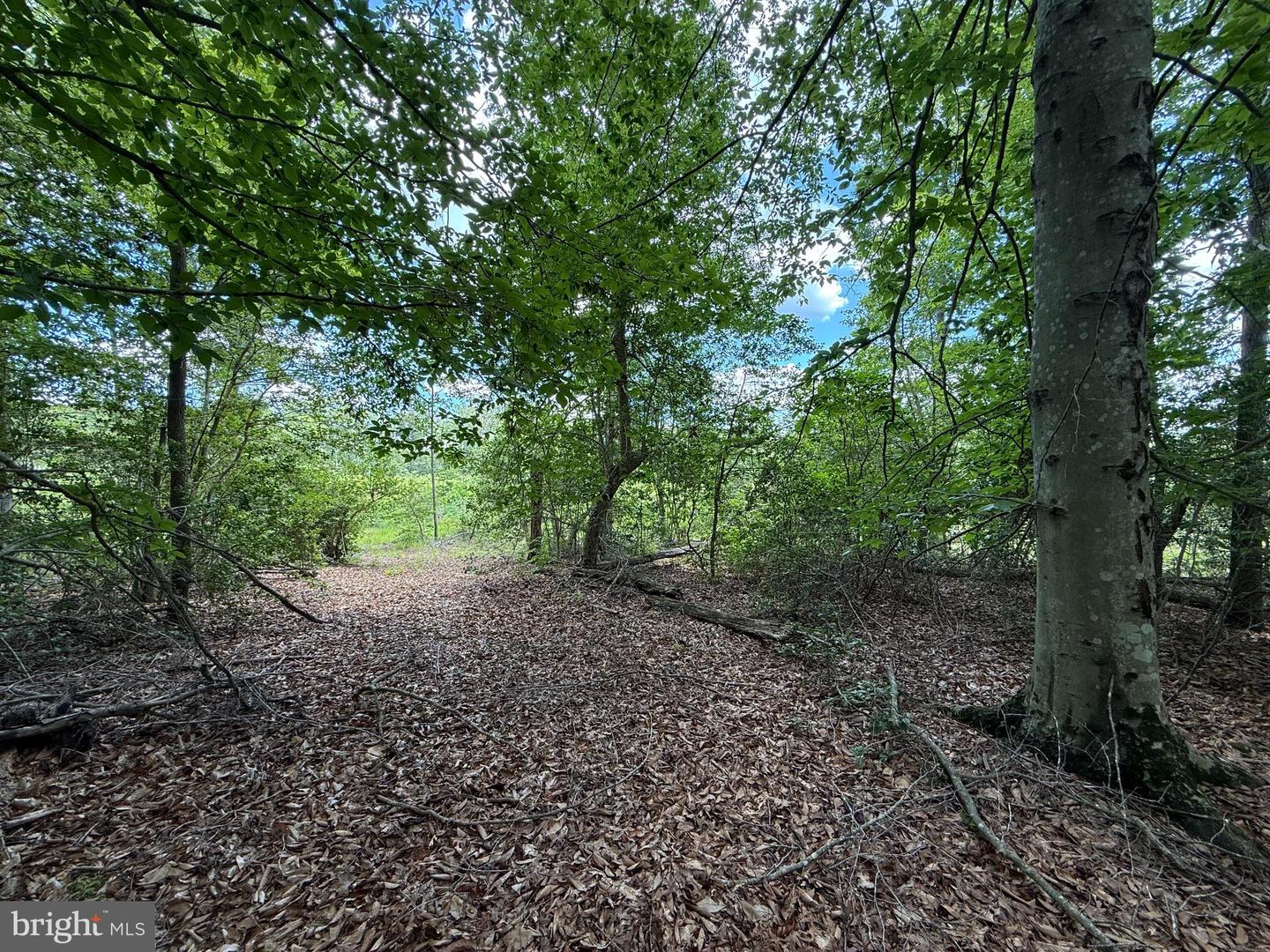 16280 RIDGE RD, KING GEORGE, Virginia 22485, ,Farm,For sale,16280 RIDGE RD,VAKG2006700 MLS # VAKG2006700