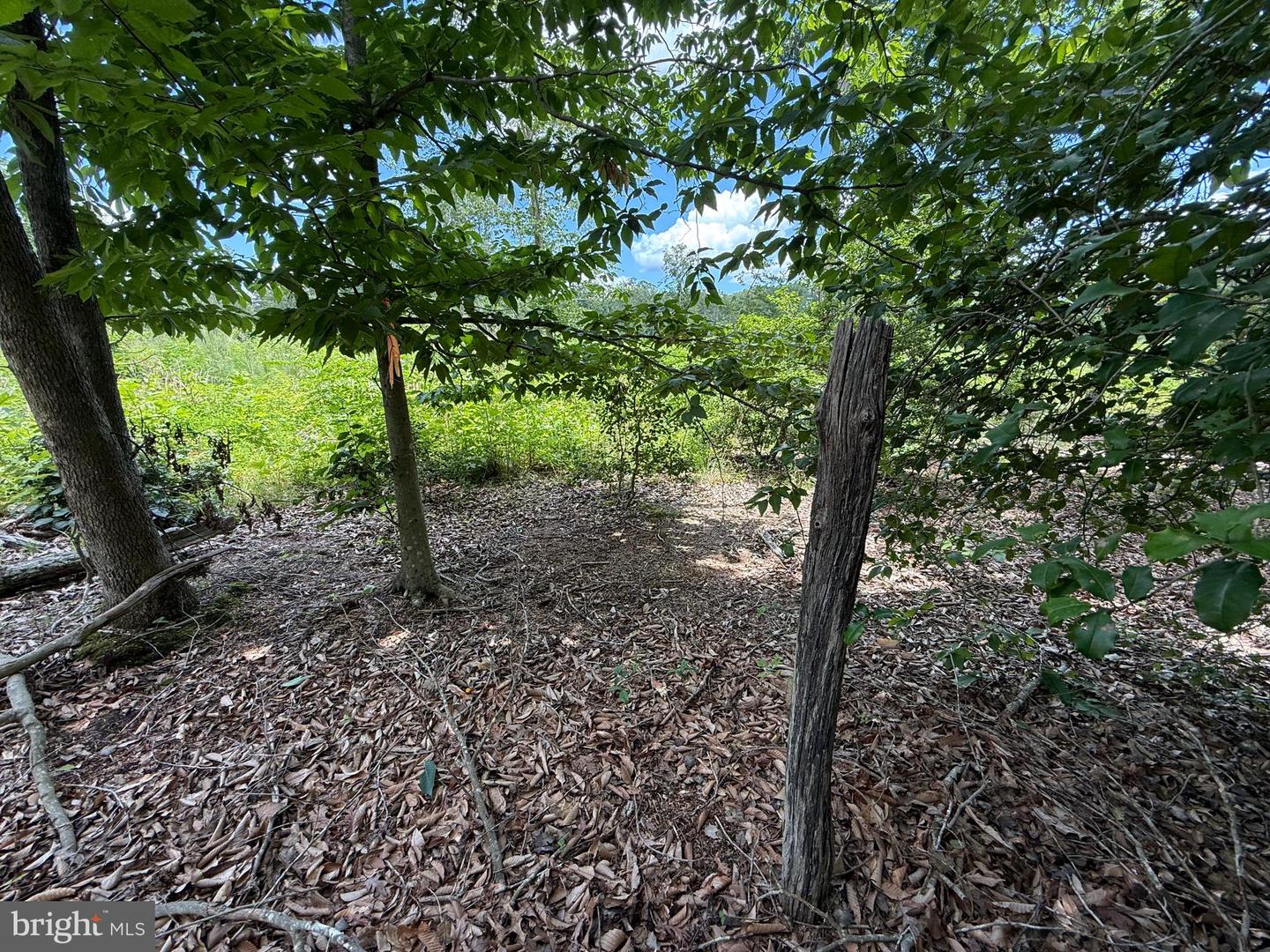 16280 RIDGE RD, KING GEORGE, Virginia 22485, ,Farm,For sale,16280 RIDGE RD,VAKG2006700 MLS # VAKG2006700