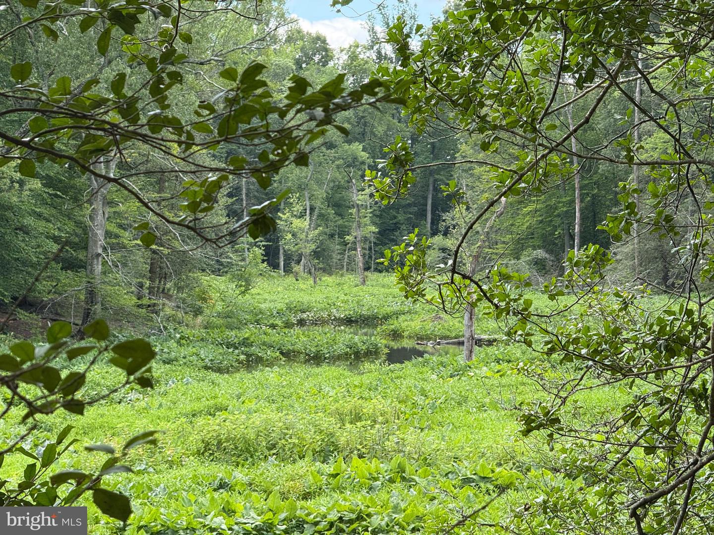 16280 RIDGE RD, KING GEORGE, Virginia 22485, ,Farm,For sale,16280 RIDGE RD,VAKG2006700 MLS # VAKG2006700