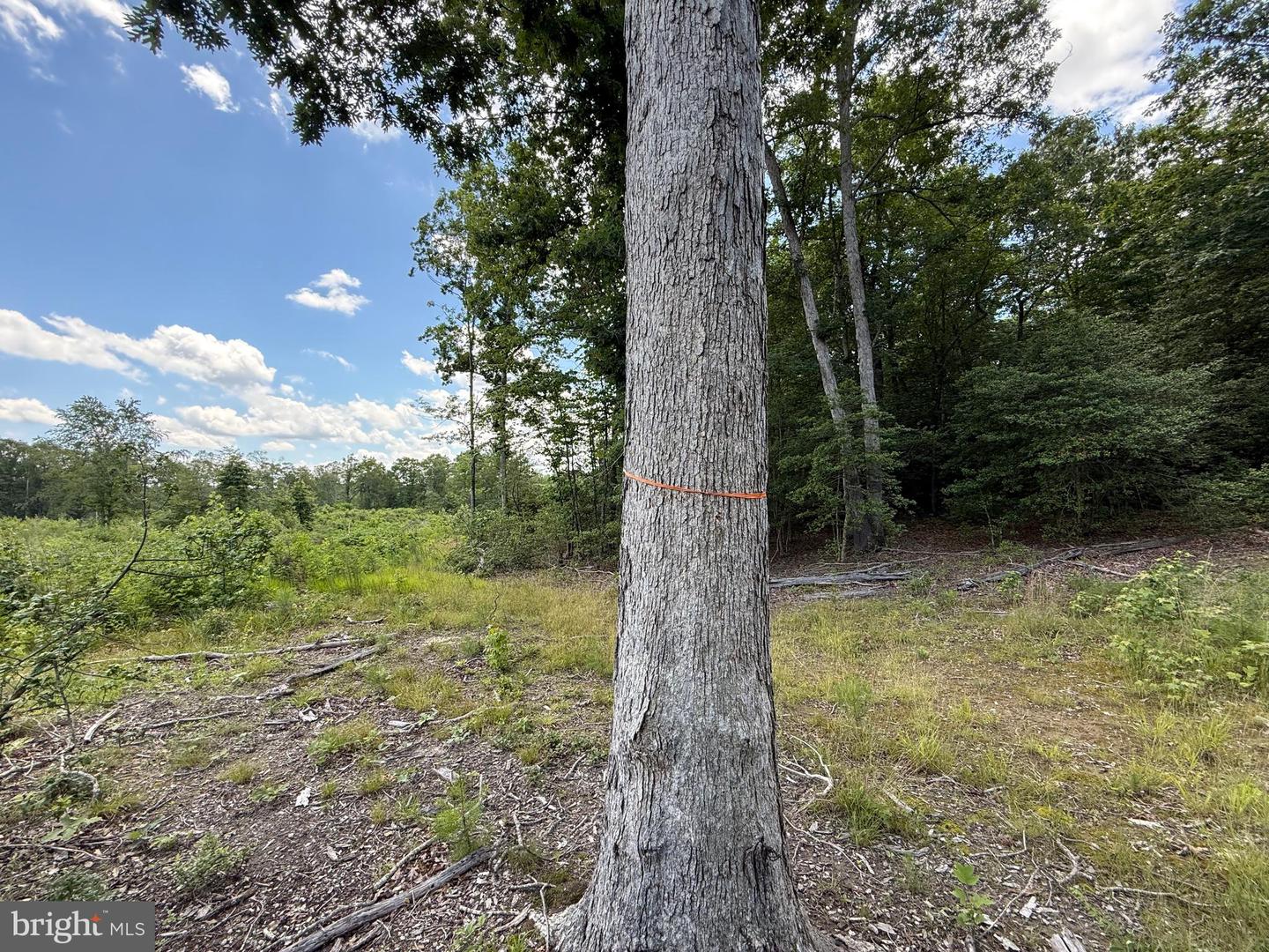 16280 RIDGE RD, KING GEORGE, Virginia 22485, ,Farm,For sale,16280 RIDGE RD,VAKG2006700 MLS # VAKG2006700