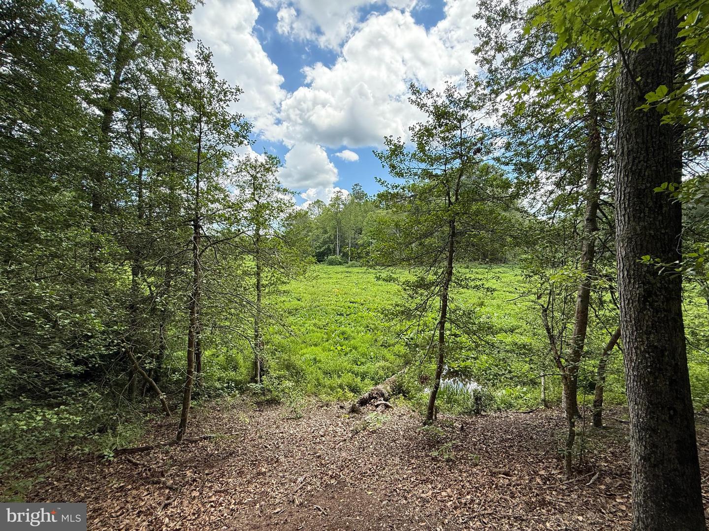 16280 RIDGE RD, KING GEORGE, Virginia 22485, ,Farm,For sale,16280 RIDGE RD,VAKG2006700 MLS # VAKG2006700