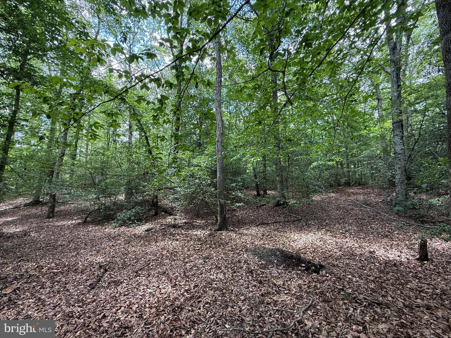 16280 RIDGE RD, KING GEORGE, Virginia 22485, ,Farm,For sale,16280 RIDGE RD,VAKG2006700 MLS # VAKG2006700