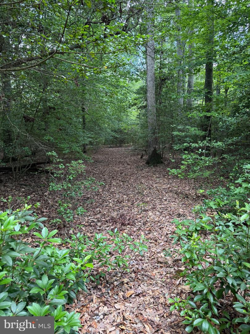 16280 RIDGE RD, KING GEORGE, Virginia 22485, ,Farm,For sale,16280 RIDGE RD,VAKG2006700 MLS # VAKG2006700