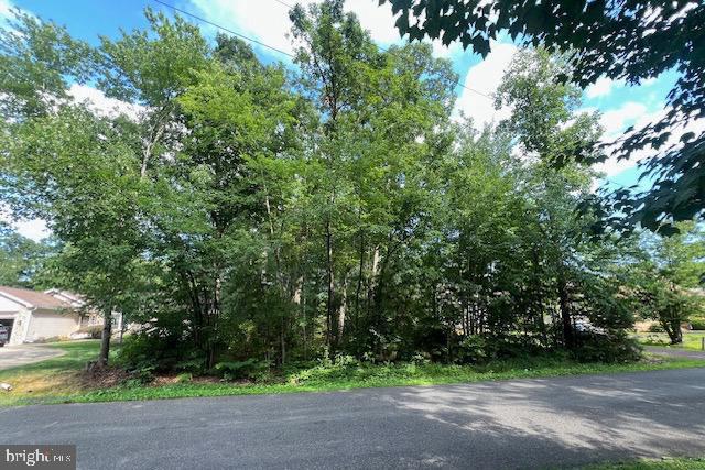 507 LIBERTY BLVD, LOCUST GROVE, Virginia 22508, ,Land,For sale,507 LIBERTY BLVD,VAOR2010148 MLS # VAOR2010148