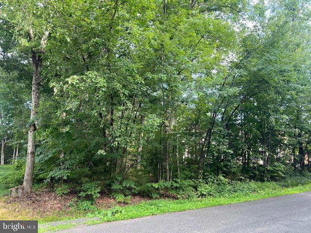507 LIBERTY BLVD, LOCUST GROVE, Virginia 22508, ,Land,For sale,507 LIBERTY BLVD,VAOR2010148 MLS # VAOR2010148