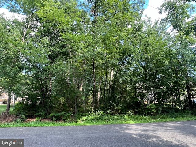507 LIBERTY BLVD, LOCUST GROVE, Virginia 22508, ,Land,For sale,507 LIBERTY BLVD,VAOR2010148 MLS # VAOR2010148