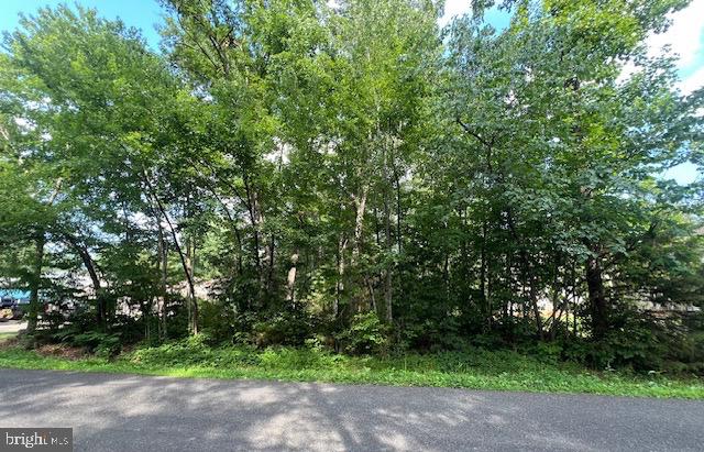 507 LIBERTY BLVD, LOCUST GROVE, Virginia 22508, ,Land,For sale,507 LIBERTY BLVD,VAOR2010148 MLS # VAOR2010148