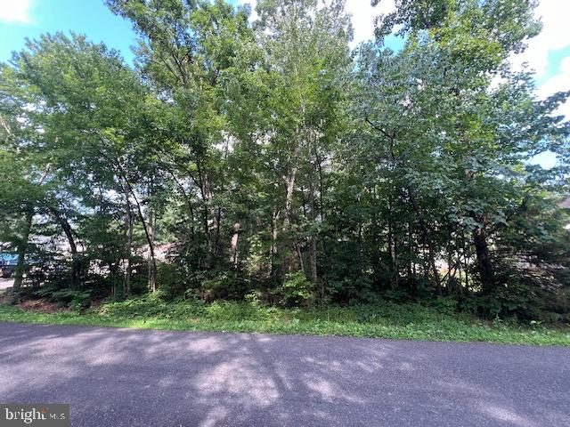 507 LIBERTY BLVD, LOCUST GROVE, Virginia 22508, ,Land,For sale,507 LIBERTY BLVD,VAOR2010148 MLS # VAOR2010148