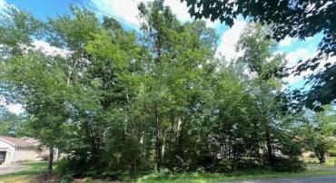507 LIBERTY BLVD, LOCUST GROVE, Virginia 22508, ,Land,For sale,507 LIBERTY BLVD,VAOR2010148 MLS # VAOR2010148
