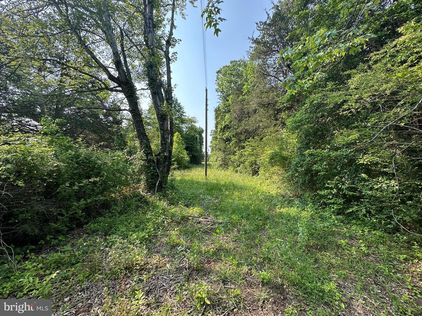 9937 HAYDEN RD, SPOTSYLVANIA, Virginia 22551, ,Land,For sale,9937 HAYDEN RD,VASP2034626 MLS # VASP2034626