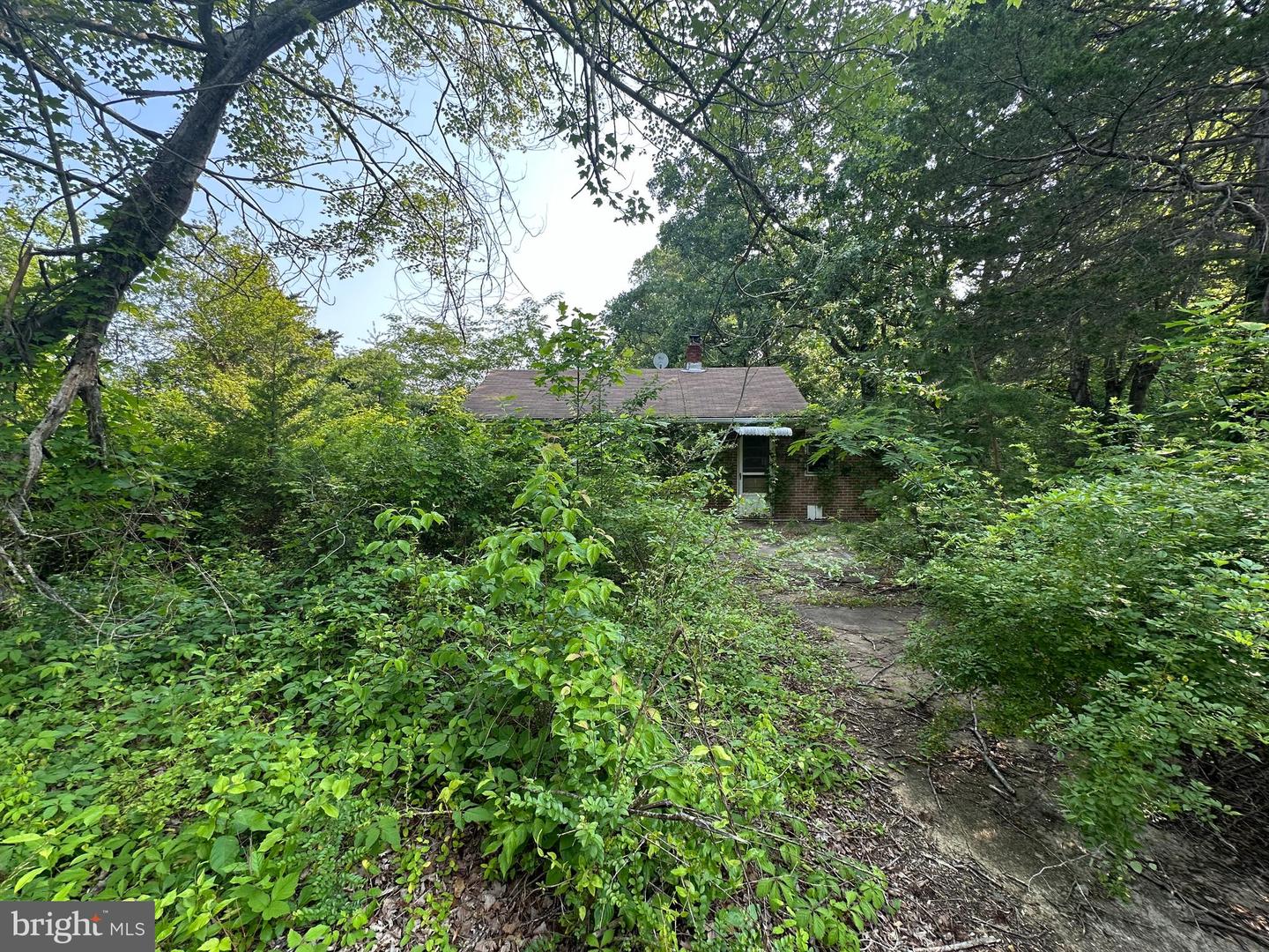 9937 HAYDEN RD, SPOTSYLVANIA, Virginia 22551, ,Land,For sale,9937 HAYDEN RD,VASP2034626 MLS # VASP2034626