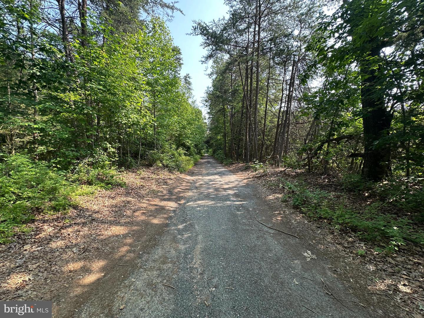 9937 HAYDEN RD, SPOTSYLVANIA, Virginia 22551, ,Land,For sale,9937 HAYDEN RD,VASP2034626 MLS # VASP2034626